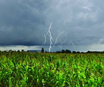 Dangeous thunder and rain storm over corn field